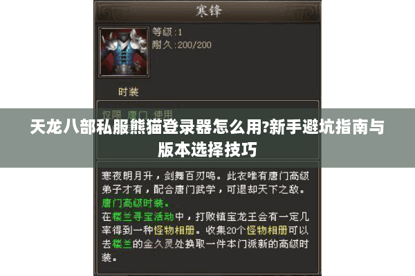 天龙八部私服熊猫登录器怎么用?新手避坑指南与版本选择技巧
