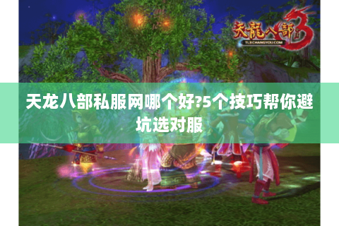 天龙八部私服网哪个好?5个技巧帮你避坑选对服 天龙八部私服网哪个好?5个技巧帮你避坑选对服