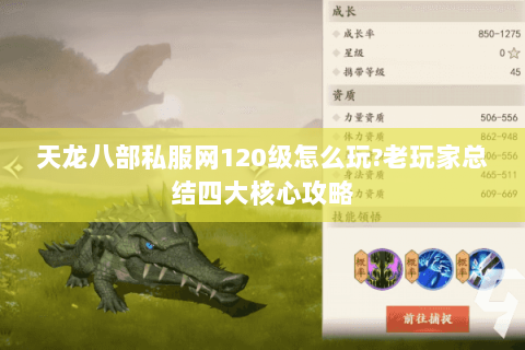 天龙八部私服网120级怎么玩?老玩家总结四大核心攻略 天龙八部私服网120级怎么玩?老玩家总结四大核心攻略