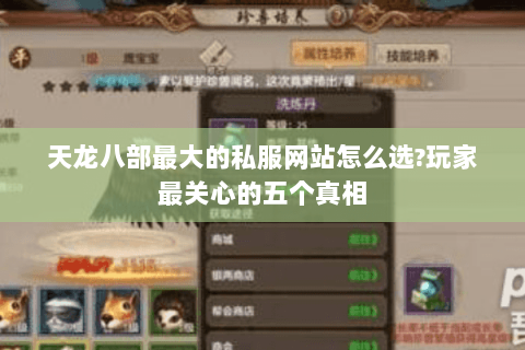 天龙八部最大的私服网站怎么选?玩家最关心的五个真相 天龙八部最大的私服网站怎么选?玩家最关心的五个真相