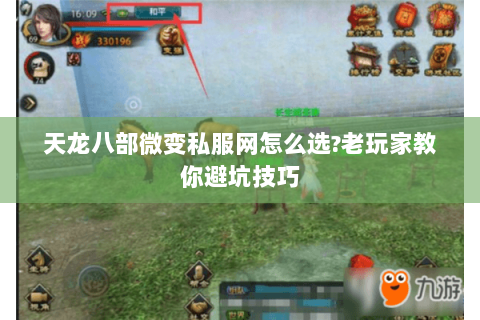 天龙八部微变私服网怎么选?老玩家教你避坑技巧 天龙八部微变私服网怎么选?老玩家教你避坑技巧