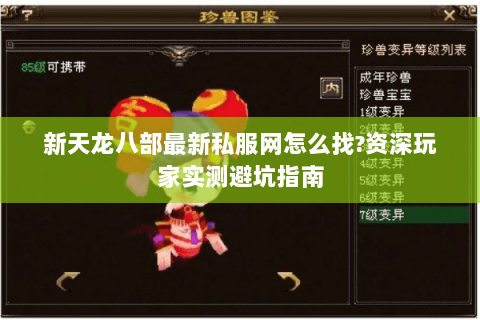 新天龙八部最新私服网怎么找?资深玩家实测避坑指南 新天龙八部最新私服网怎么找?资深玩家实测避坑指南