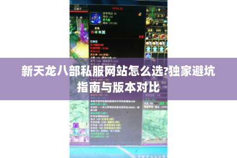 新天龙八部私服网站怎么选?独家避坑指南与版本对比 新天龙八部私服网站怎么选?独家避坑指南与版本对比