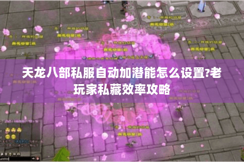 天龙八部私服自动加潜能怎么设置?老玩家私藏效率攻略 天龙八部私服自动加潜能怎么设置?老玩家私藏效率攻略