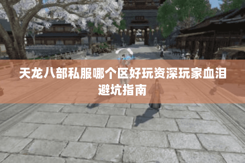 天龙八部私服哪个区好玩资深玩家血泪避坑指南 天龙八部私服哪个区好玩资深玩家血泪避坑指南