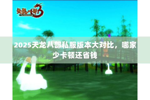 2025天龙八部私服版本大对比,哪家少卡顿还省钱 2025天龙八部私服版本大对比,哪家少卡顿还省钱