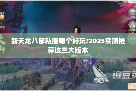 新天龙八部私服哪个好玩?2025实测推荐这三大版本 新天龙八部私服哪个好玩?2025实测推荐这三大版本