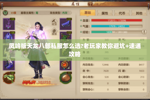 凤鸣版天龙八部私服怎么选?老玩家教你避坑+速通攻略 凤鸣版天龙八部私服怎么选?老玩家教你避坑+速通攻略