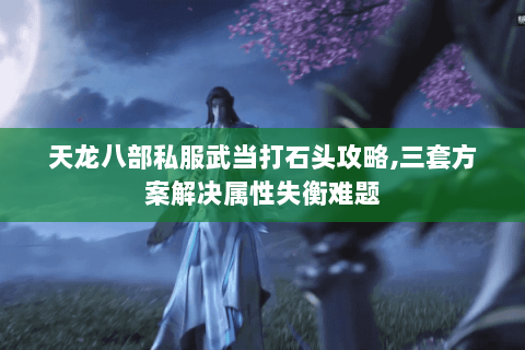 天龙八部私服武当打石头攻略,三套方案解决属性失衡难题 天龙八部私服武当打石头攻略,三套方案解决属性失衡难题