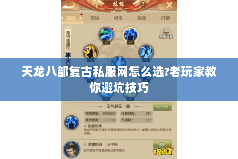天龙八部复古私服网怎么选?老玩家教你避坑技巧 天龙八部复古私服网怎么选?老玩家教你避坑技巧