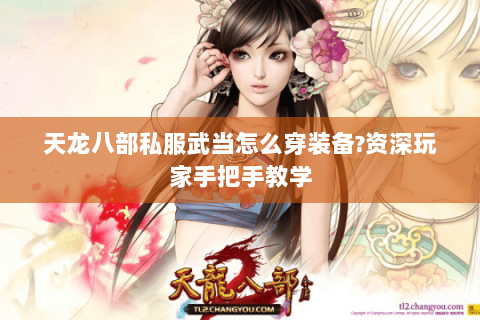 天龙八部私服武当怎么穿装备?资深玩家手把手教学