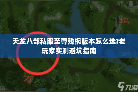天龙八部私服至尊残枫版本怎么选?老玩家实测避坑指南 天龙八部私服至尊残枫版本怎么选?老玩家实测避坑指南