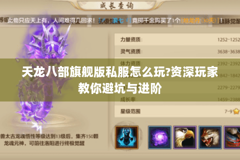 天龙八部旗舰版私服怎么玩?资深玩家教你避坑与进阶 天龙八部旗舰版私服怎么玩?资深玩家教你避坑与进阶