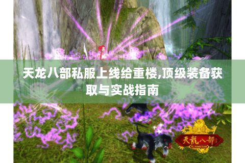 天龙八部私服上线给重楼,顶级装备获取与实战指南 天龙八部私服上线给重楼,顶级装备获取与实战指南