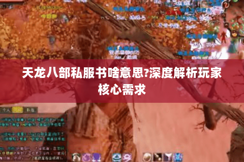 天龙八部私服书啥意思?深度解析玩家核心需求