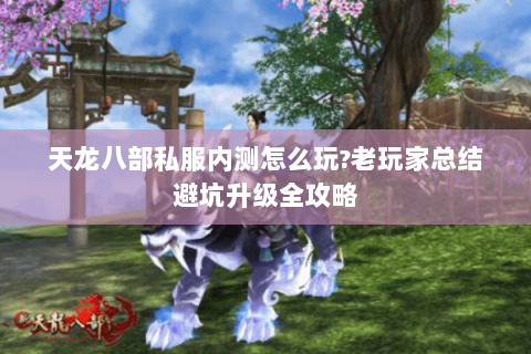 天龙八部私服内测怎么玩?老玩家总结避坑升级全攻略 天龙八部私服内测怎么玩?老玩家总结避坑升级全攻略