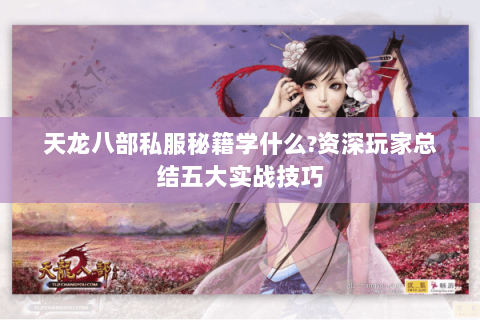 天龙八部私服秘籍学什么?资深玩家总结五大实战技巧 天龙八部私服秘籍学什么?资深玩家总结五大实战技巧