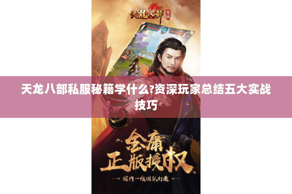 天龙八部私服秘籍学什么?资深玩家总结五大实战技巧 天龙八部私服秘籍学什么?资深玩家总结五大实战技巧