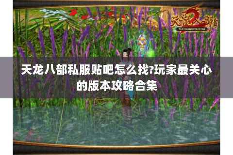 天龙八部私服贴吧怎么找?玩家最关心的版本攻略合集 天龙八部私服贴吧怎么找?玩家最关心的版本攻略合集