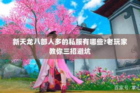 新天龙八部人多的私服有哪些?老玩家教你三招避坑 新天龙八部人多的私服有哪些?老玩家教你三招避坑