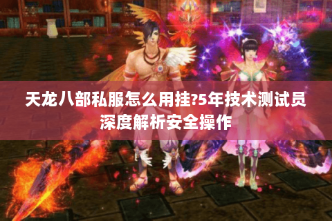 天龙八部私服怎么用挂?5年技术测试员深度解析安全操作 天龙八部私服怎么用挂?5年技术测试员深度解析安全操作
