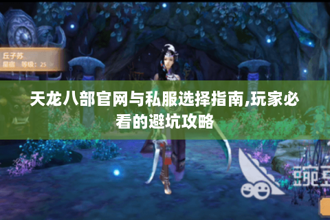 天龙八部官网与私服选择指南,玩家必看的避坑攻略 天龙八部官网与私服选择指南,玩家必看的避坑攻略