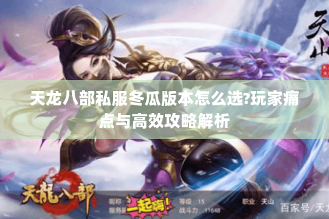 天龙八部私服冬瓜版本怎么选?玩家痛点与高效攻略解析 天龙八部私服冬瓜版本怎么选?玩家痛点与高效攻略解析