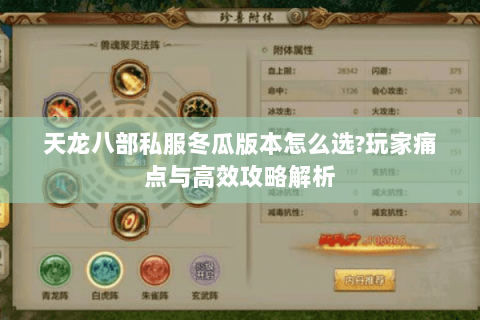 天龙八部私服冬瓜版本怎么选?玩家痛点与高效攻略解析 天龙八部私服冬瓜版本怎么选?玩家痛点与高效攻略解析