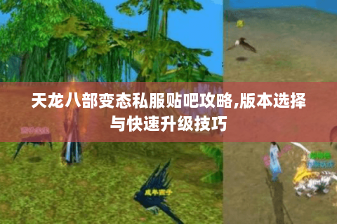 天龙八部变态私服贴吧攻略,版本选择与快速升级技巧 天龙八部变态私服贴吧攻略,版本选择与快速升级技巧