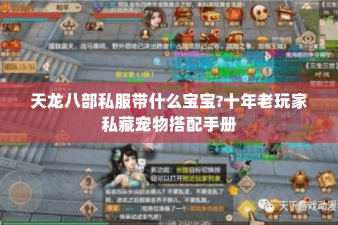 天龙八部私服带什么宝宝?十年老玩家私藏宠物搭配手册