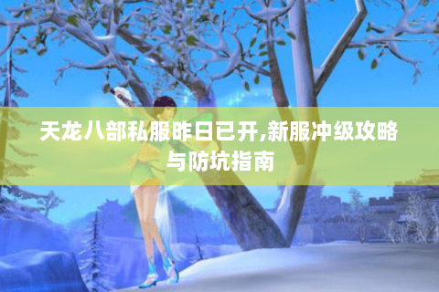 天龙八部私服昨日已开,新服冲级攻略与防坑指南 天龙八部私服昨日已开,新服冲级攻略与防坑指南