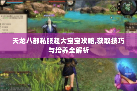 天龙八部私服超大宝宝攻略,获取技巧与培养全解析 天龙八部私服超大宝宝攻略,获取技巧与培养全解析