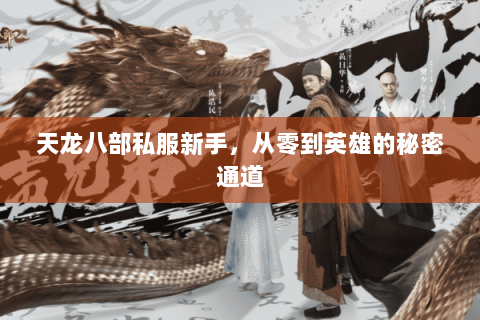 天龙八部私服新手,从零到英雄的秘密通道 天龙八部私服新手,从零到英雄的秘密通道