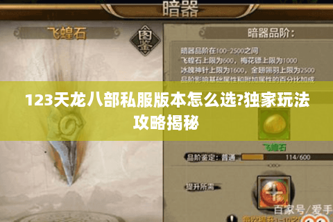 123天龙八部私服版本怎么选?独家玩法攻略揭秘 123天龙八部私服版本怎么选?独家玩法攻略揭秘