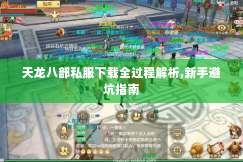 天龙八部私服下载全过程解析,新手避坑指南 天龙八部私服下载全过程解析,新手避坑指南