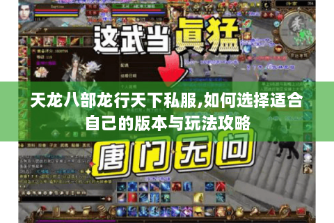 天龙八部龙行天下私服,如何选择适合自己的版本与玩法攻略