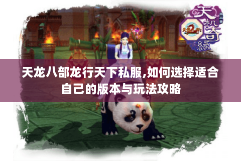 天龙八部龙行天下私服,如何选择适合自己的版本与玩法攻略
