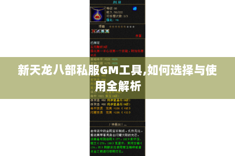 新天龙八部私服GM工具,如何选择与使用全解析 新天龙八部私服GM工具,如何选择与使用全解析