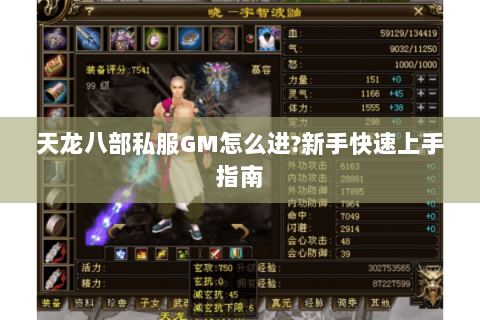 天龙八部私服GM怎么进?新手快速上手指南 天龙八部私服GM怎么进?新手快速上手指南