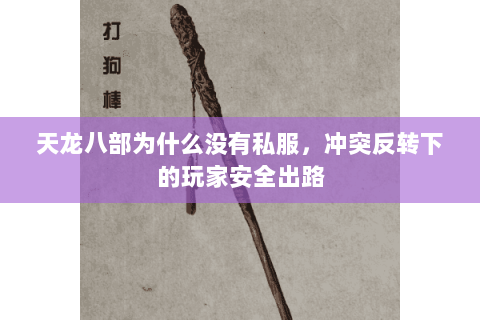 天龙八部为什么没有私服,冲突反转下的玩家安全出路 天龙八部为什么没有私服,冲突反转下的玩家安全出路