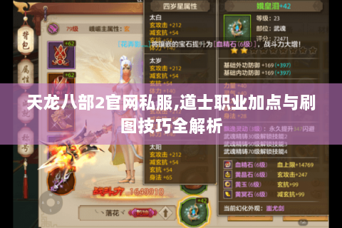 天龙八部2官网私服,道士职业加点与刷图技巧全解析