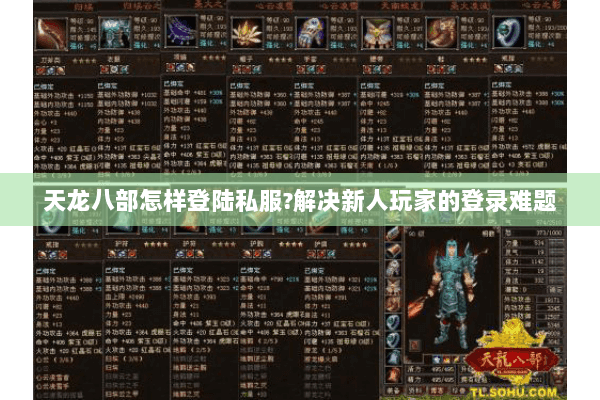 天龙八部怎样登陆私服?解决新人玩家的登录难题