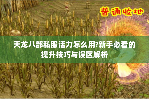 天龙八部私服活力怎么用?新手必看的提升技巧与误区解析 天龙八部私服活力怎么用?新手必看的提升技巧与误区解析