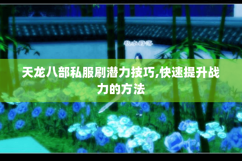 天龙八部私服刷潜力技巧,快速提升战力的方法 天龙八部私服刷潜力技巧,快速提升战力的方法