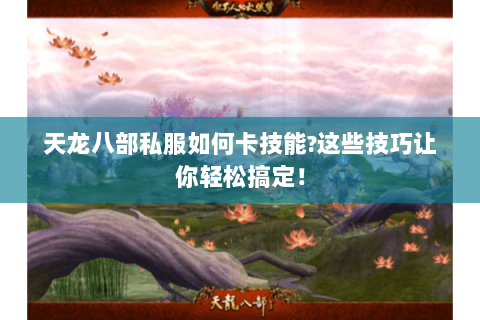 天龙八部私服如何卡技能?这些技巧让你轻松搞定! 天龙八部私服如何卡技能?这些技巧让你轻松搞定!