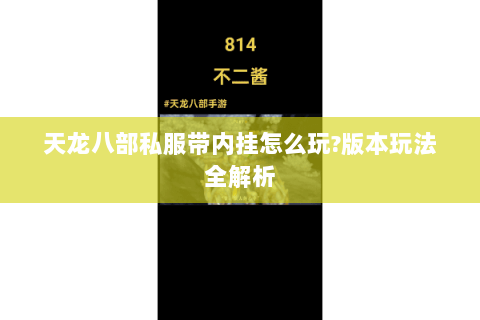 天龙八部私服带内挂怎么玩?版本玩法全解析 天龙八部私服带内挂怎么玩?版本玩法全解析