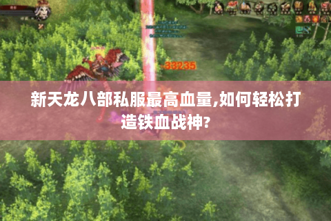 新天龙八部私服最高血量,如何轻松打造铁血战神? 新天龙八部私服最高血量,如何轻松打造铁血战神?