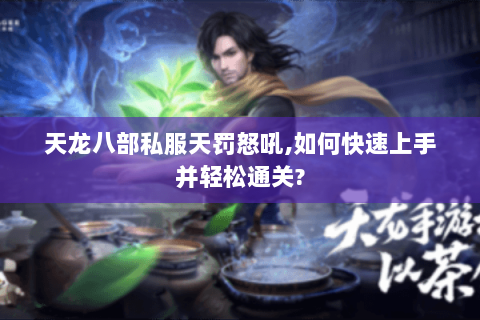 天龙八部私服天罚怒吼,如何快速上手并轻松通关?