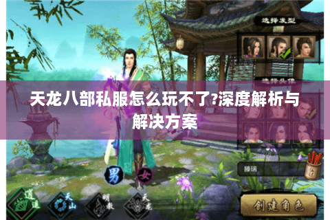 天龙八部私服怎么玩不了?深度解析与解决方案 天龙八部私服怎么玩不了?深度解析与解决方案