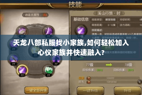 天龙八部私服找小家族,如何轻松加入心仪家族并快速融入?